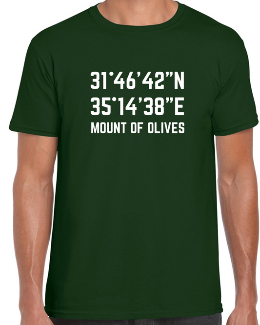 Mount of Olives T- shirt