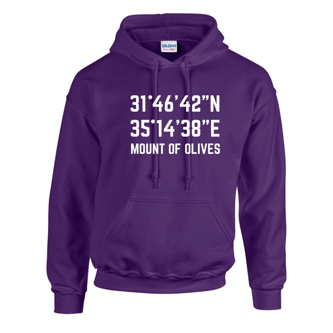 Mount of Olives Coordinates- unisex hoodie