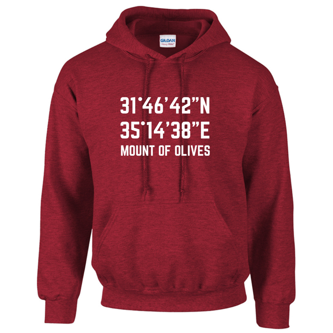 Mount of Olives Coordinates- unisex hoodie