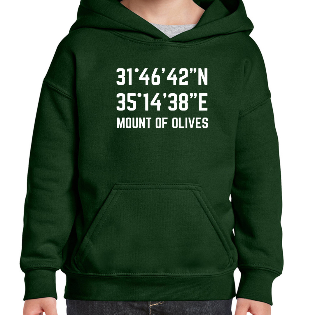 Mount of Olives Coordinates- unisex hoodie