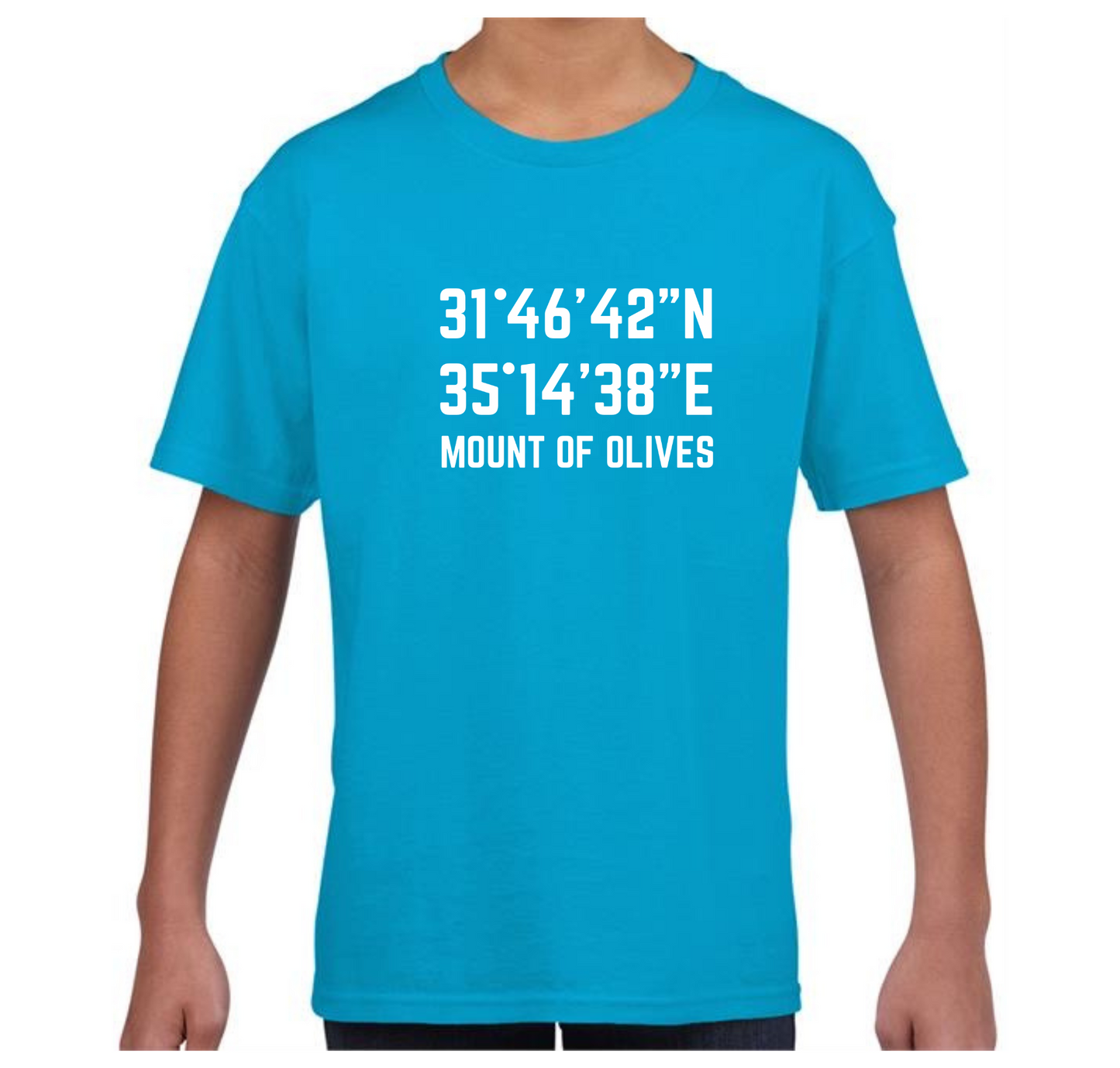 Mount of Olives kids t shirt
