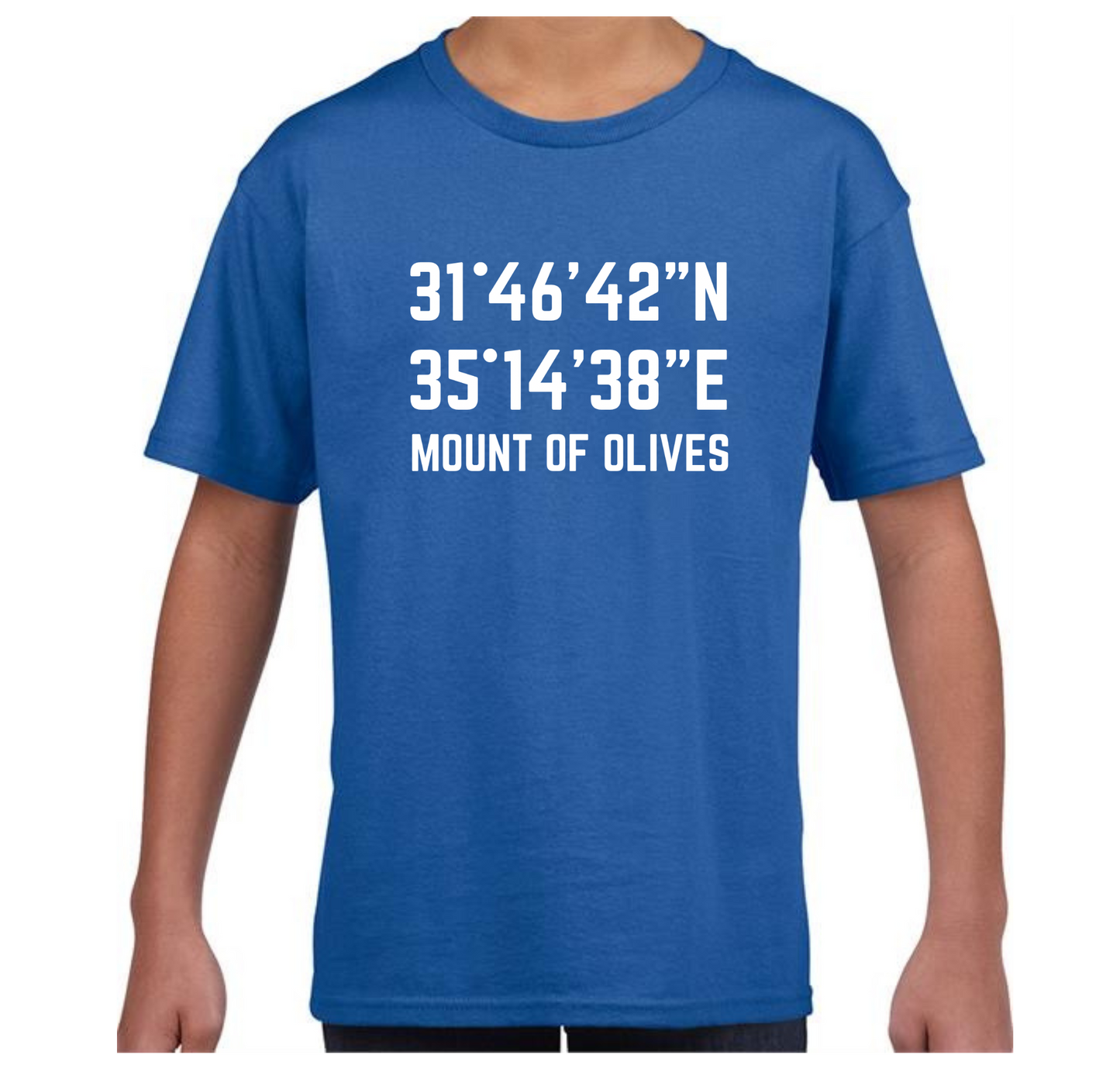 Mount of Olives kids t shirt