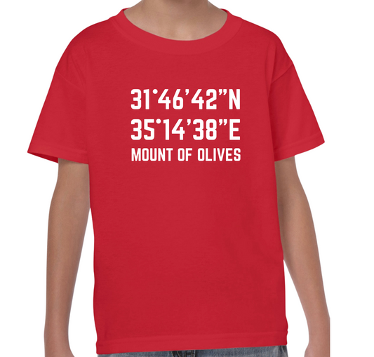 Mount of Olives kids t shirt