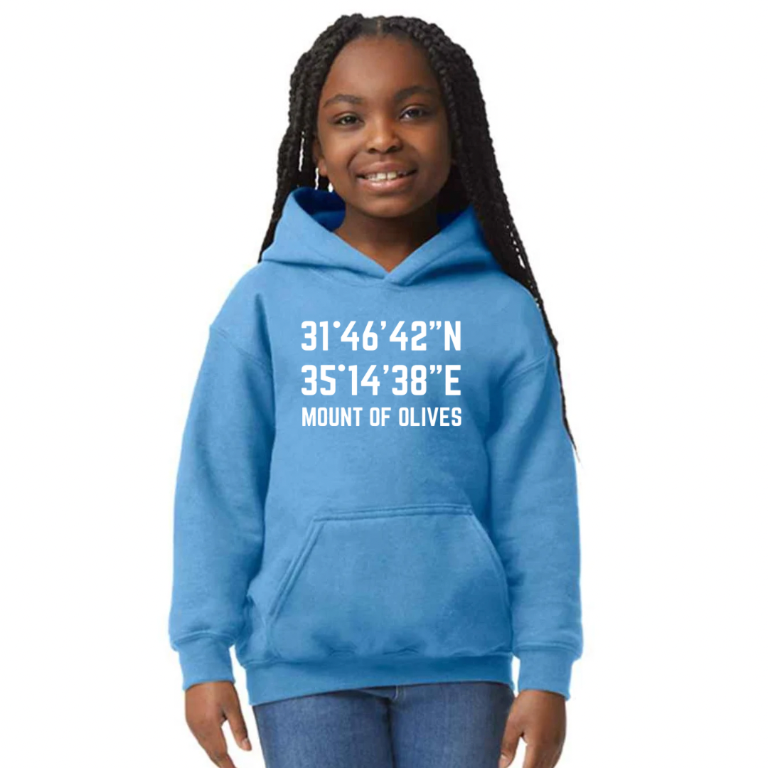 Mount of Olives kids hoodie