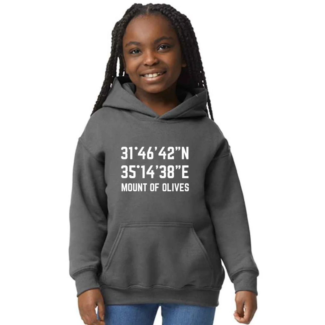 Mount of Olives kids hoodie