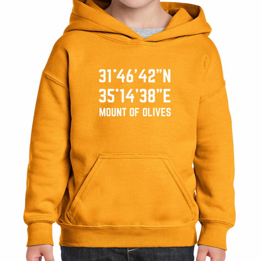 Mount of Olives kids hoodie