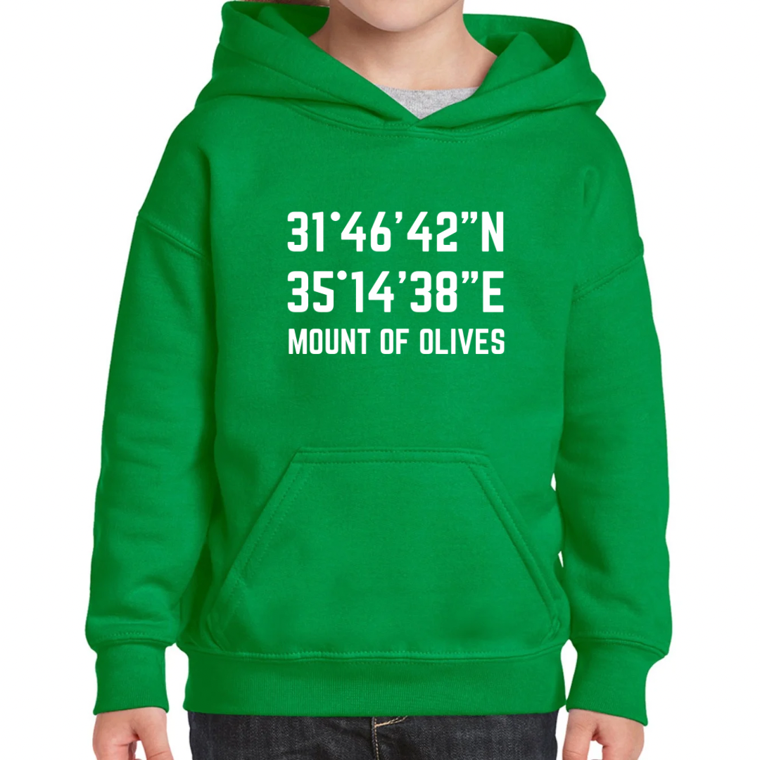 Mount of Olives kids hoodie