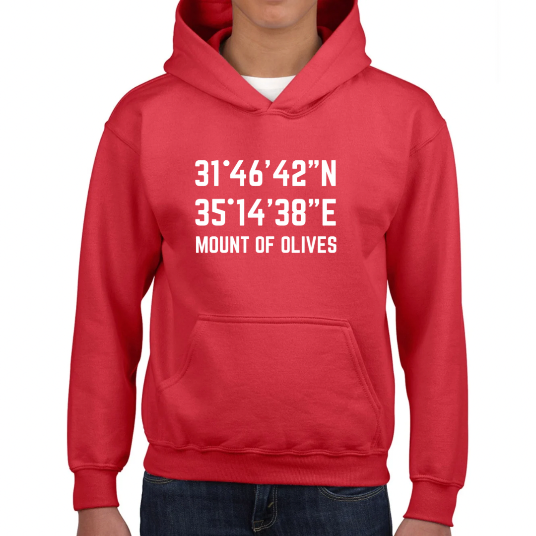 Mount of Olives kids hoodie