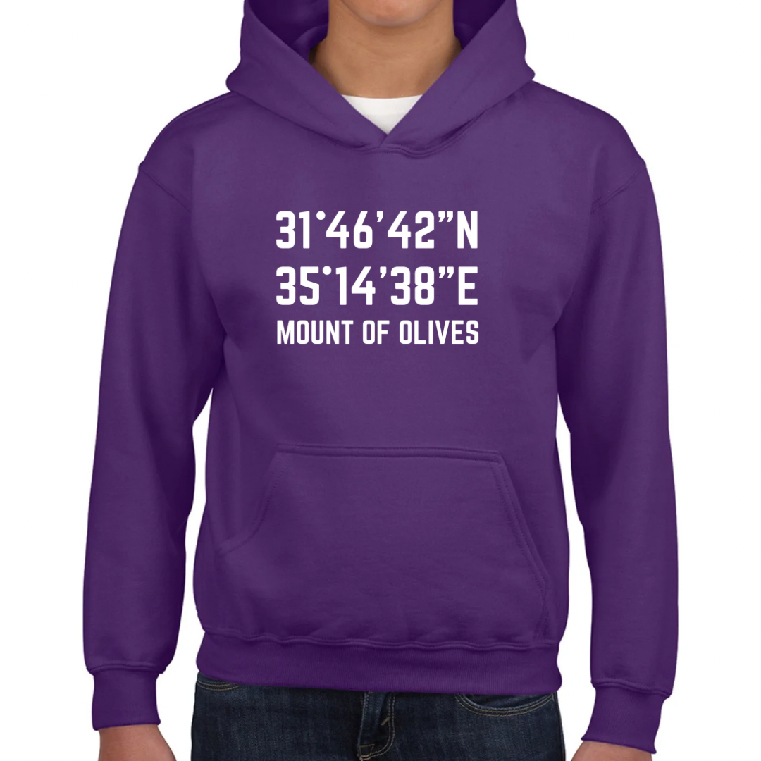 Mount of Olives kids hoodie