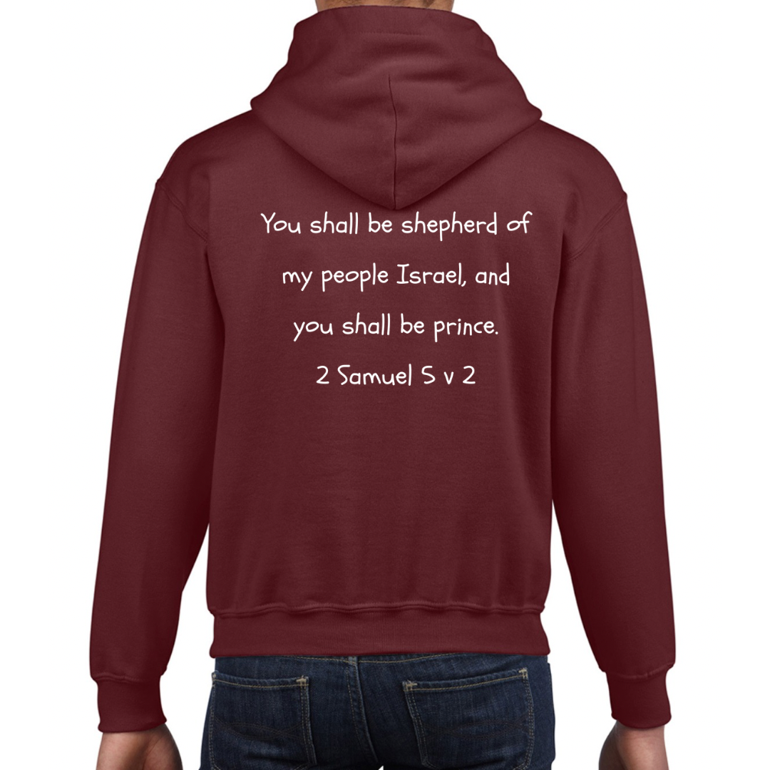 Bible heroes: David kids hoodie