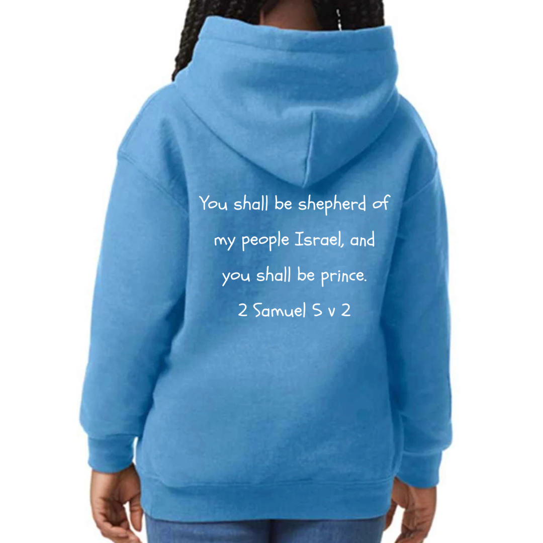 Bible heroes: David kids hoodie