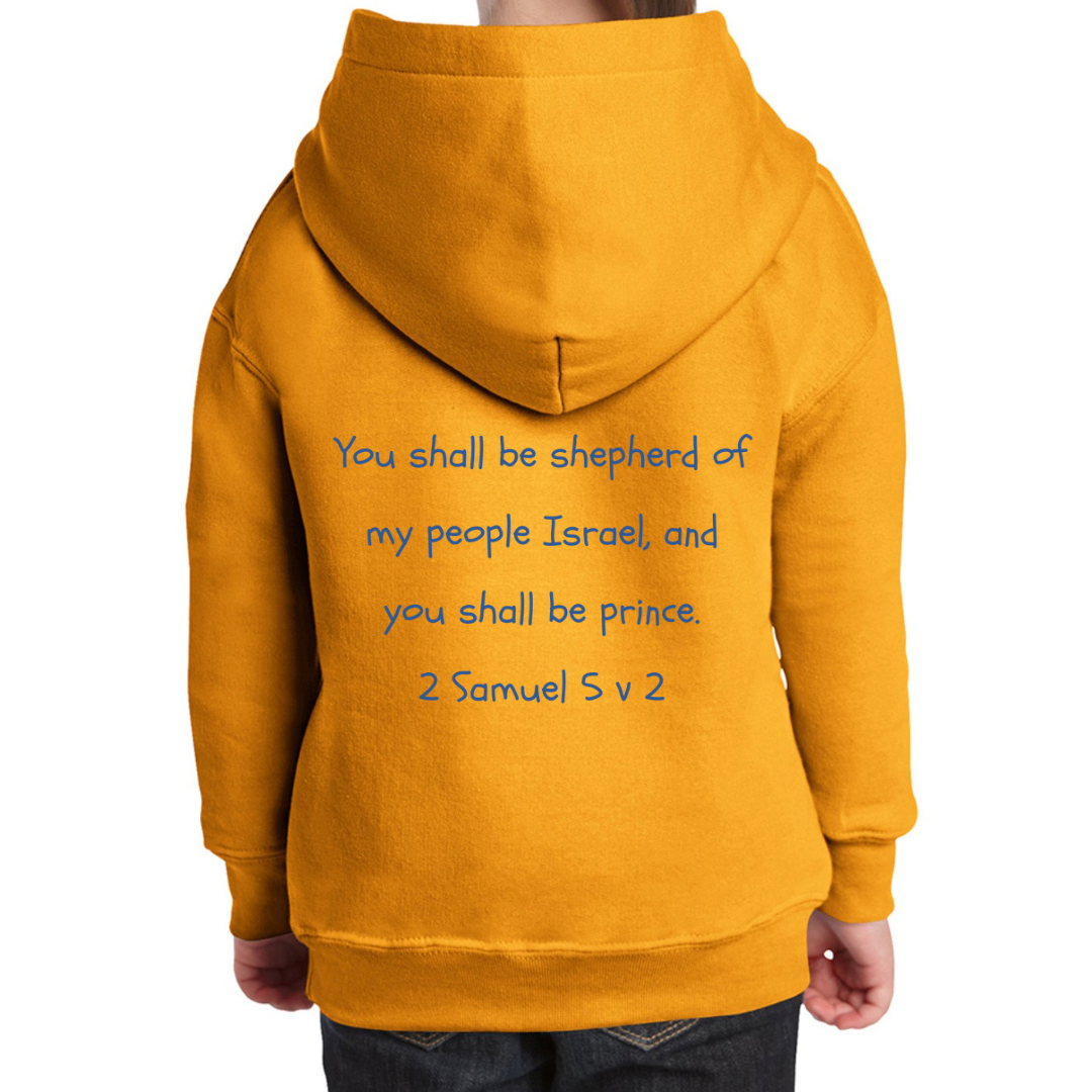 Bible heroes: David kids hoodie