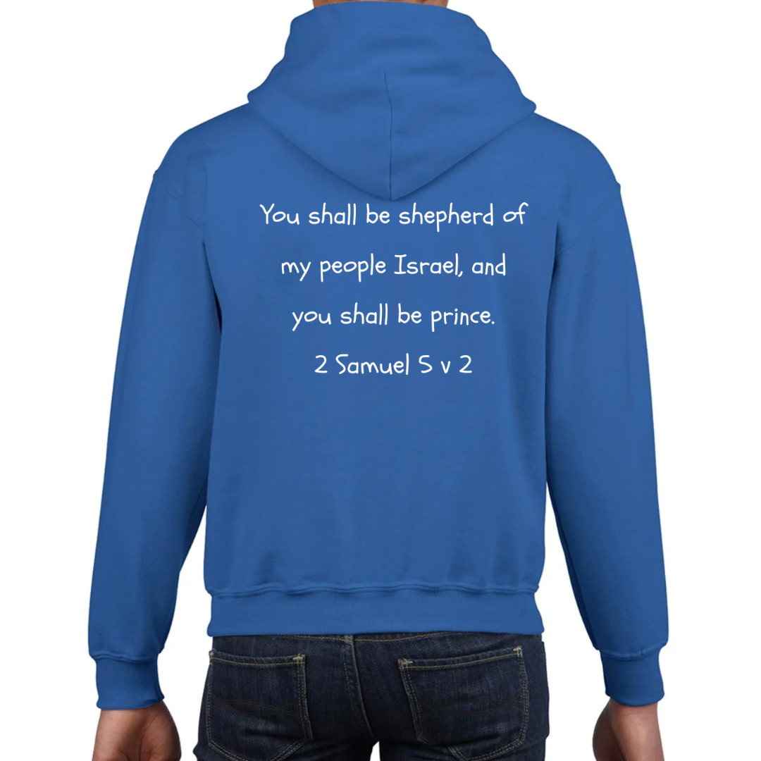 Bible heroes: David kids hoodie