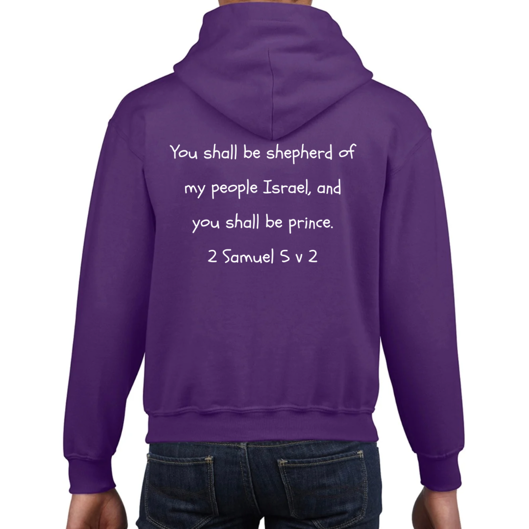 Bible heroes: David kids hoodie