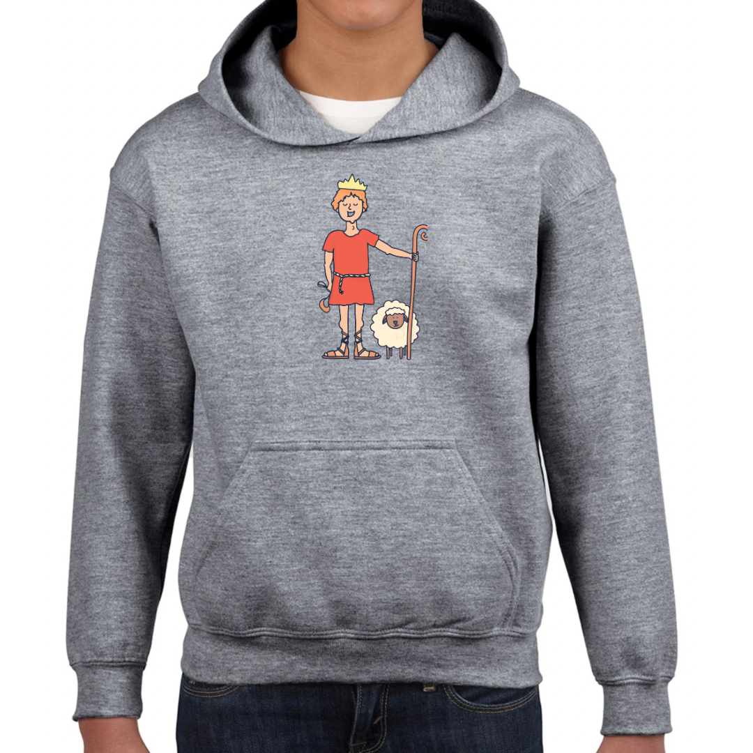 Bible heroes: David kids hoodie