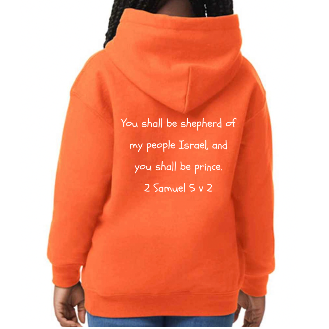 Bible heroes: David kids hoodie