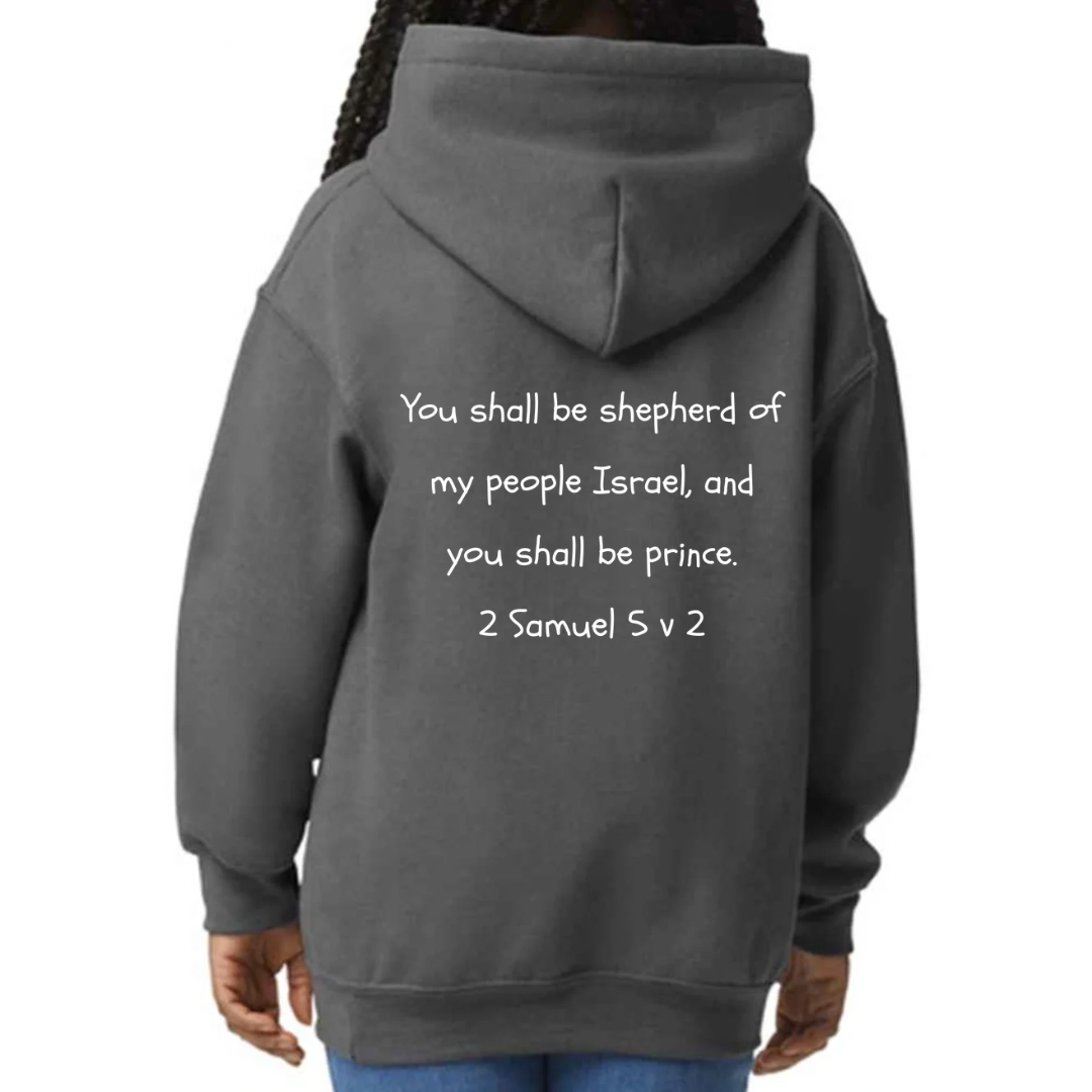 Bible heroes: David kids hoodie