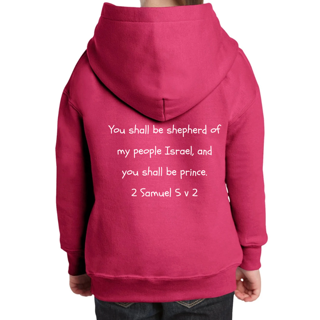 Bible heroes: David kids hoodie