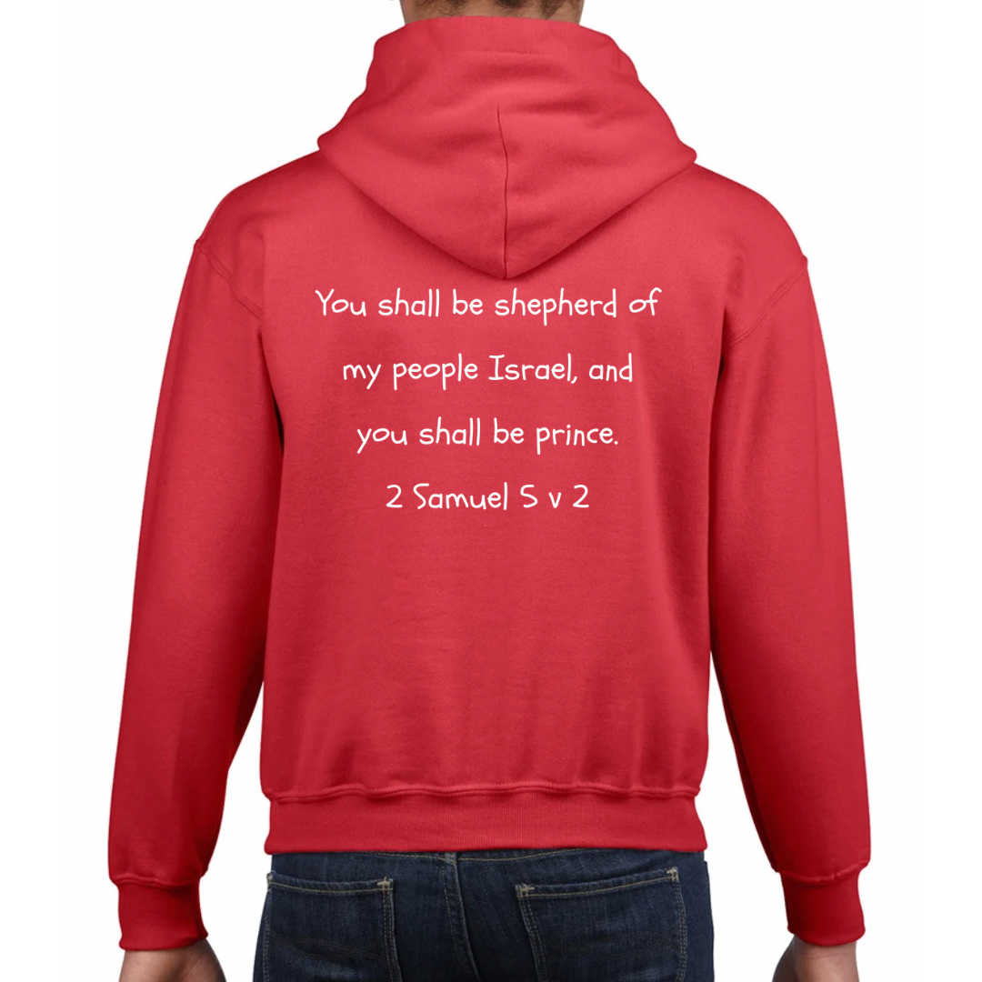 Bible heroes: David kids hoodie