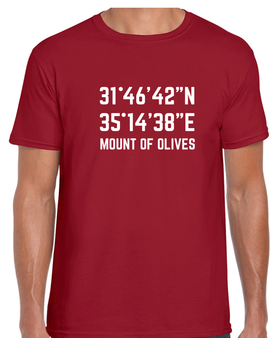 Mount of Olives T- shirt