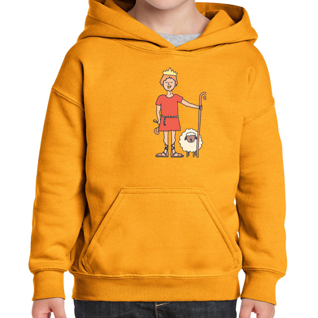 Bible heroes: David kids hoodie