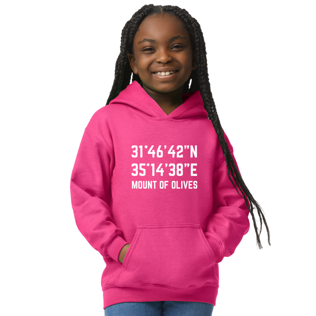 Mount of Olives kids hoodie